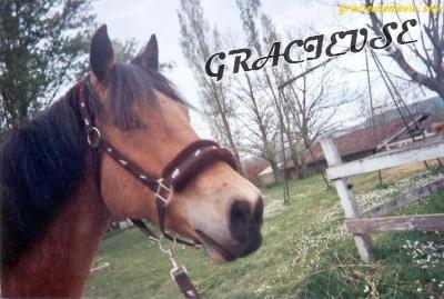 Photo de profil de ntmesdgdu31200