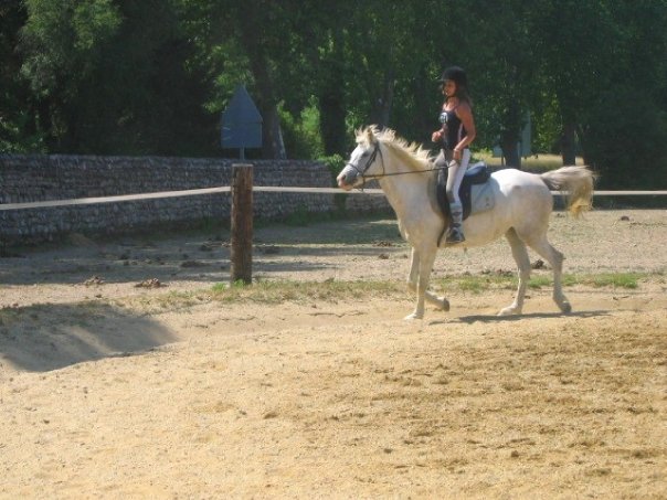 Photo de profil de nuriel-x3
