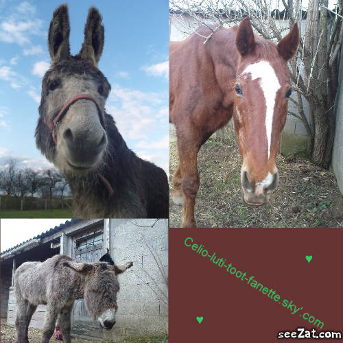 Photo de profil de oceoce94