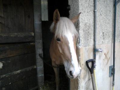 Photo de profil de orphee-tmtc