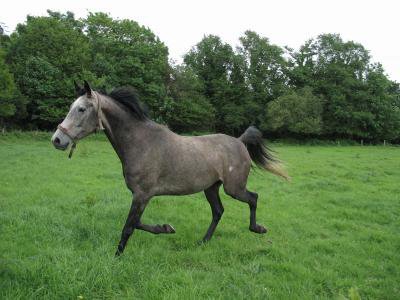 Photo de profil de oti26