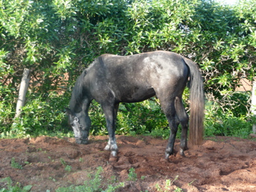 Photo de profil de ouanis