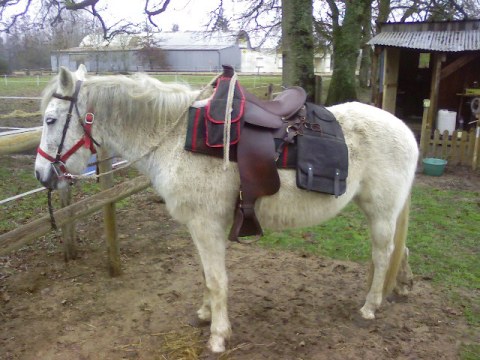 Photo de profil de pascalridez