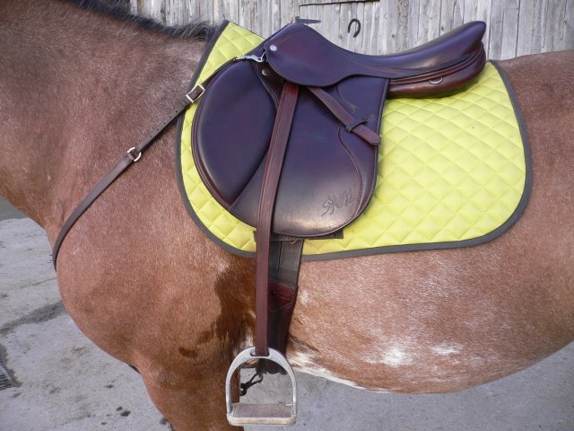 Photo de profil de pataclups