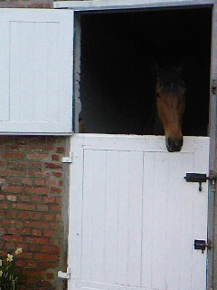 Photo de profil de pensioncecile