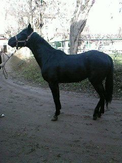 Photo de profil de petit-reve