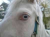 Photo de profil de pipelette12