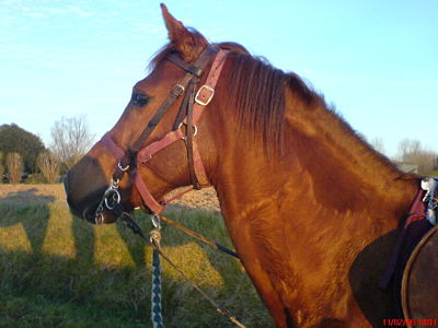 Photo de profil de pleut