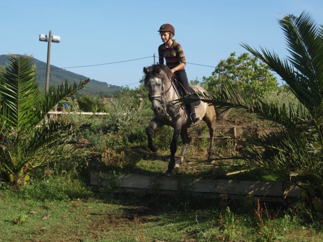 Photo de profil de po0neyxruun