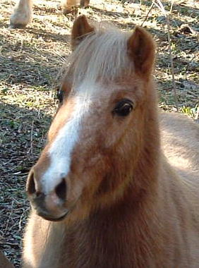 Photo de profil de poly34