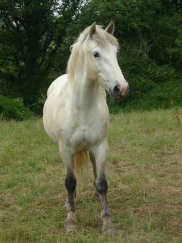 Photo de profil de priiam