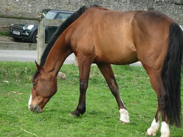 Photo de profil de princedof