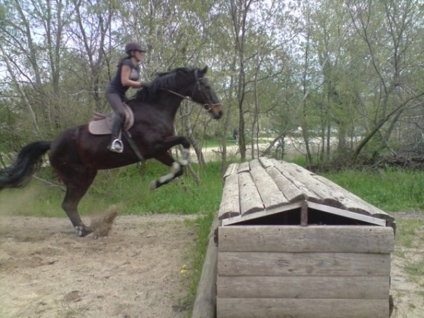 Photo de profil de pupuce0074