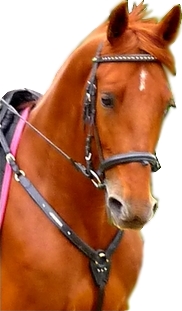 Photo de profil de qdbx3