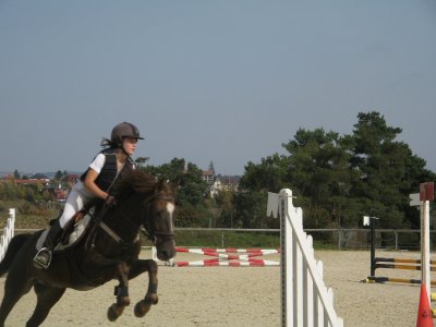 Photo de profil de quercus--x3