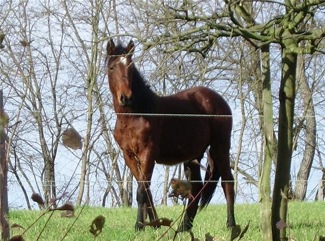 Photo de profil de quintans