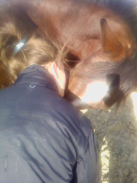 Photo de profil de quory