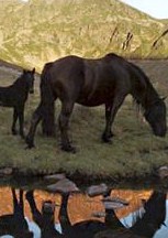 Photo de profil de rachou.mymy