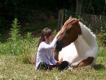 Photo de profil de romeo-de-mineme