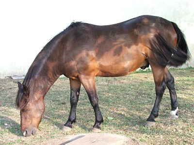 Photo de profil de sanite