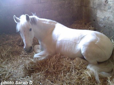 Photo de profil de sarah-38