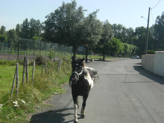 Photo de profil de sarah64110