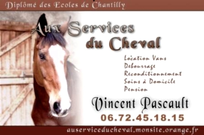 Photo de profil de servicecheval