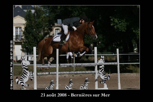 Photo de profil de shlomo