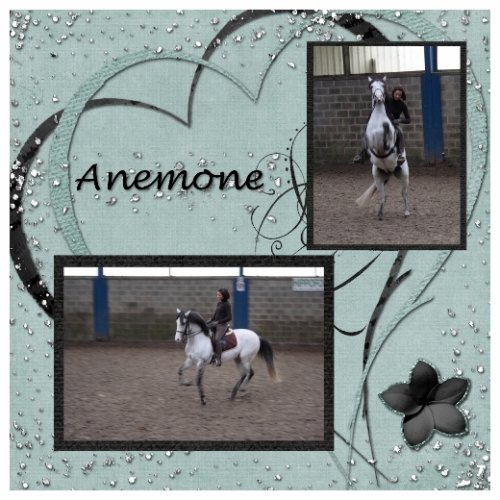 Photo de profil de sissi0804