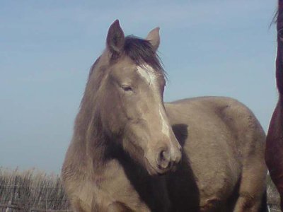 Photo de profil de soh-13