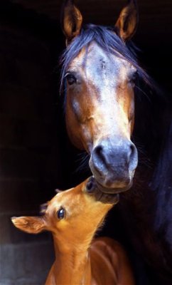 Photo de profil de soni08