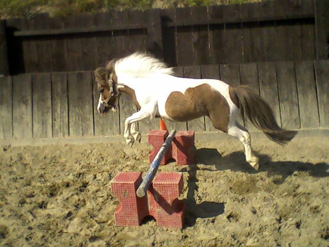 Photo de profil de sow-hors3