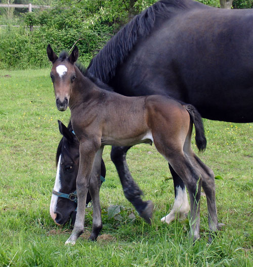 Photo de profil de stratten