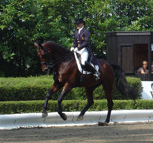 Photo de profil de superboy-love12