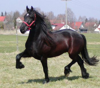 Photo de profil de sylvanie