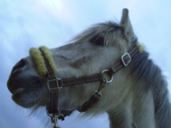 Photo de profil de symphonie