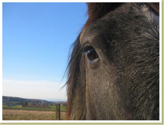 Photo de profil de tennesseedu68