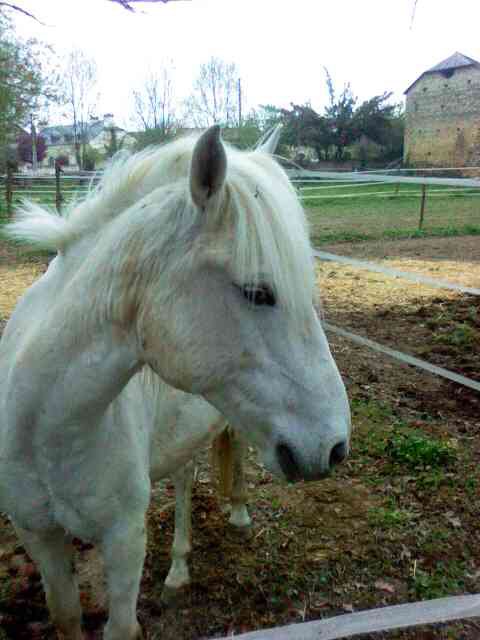 Photo de profil de tetelle65