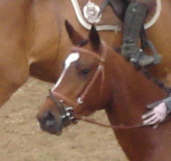 Photo de profil de the-ocean-mydadou