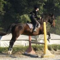 Photo de profil de thebiscotte