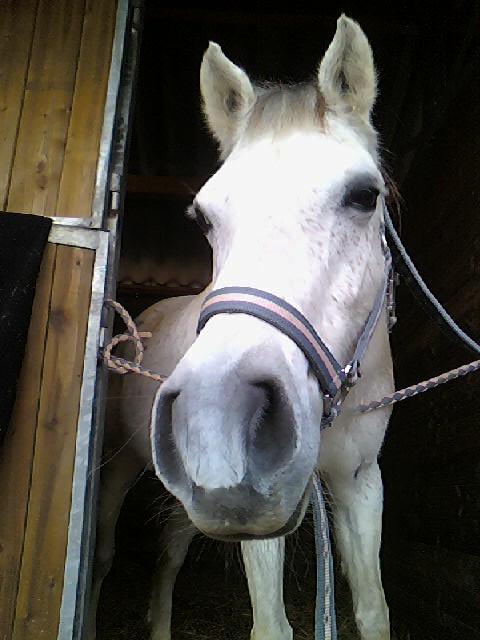 Photo de profil de thegodiche