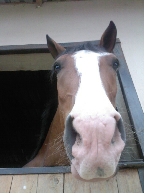 Photo de profil de thenightmoon