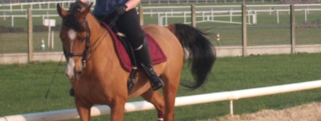 Photo de profil de titoux161