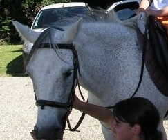 Photo de profil de topie33