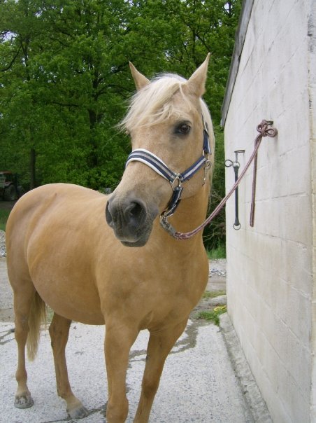 Photo de profil de toscane--x3