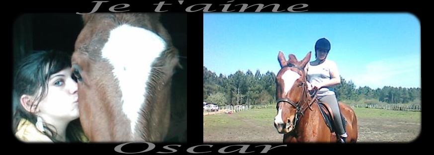 Photo de profil de trotteur-love