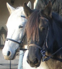 Photo de profil de valse13