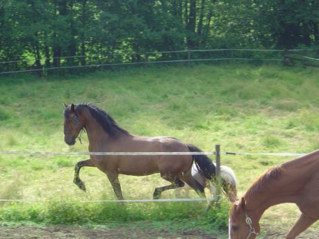 Photo de profil de ventemilord