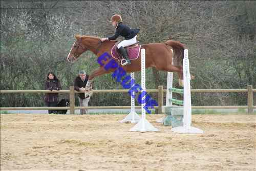 Photo de profil de vicky993