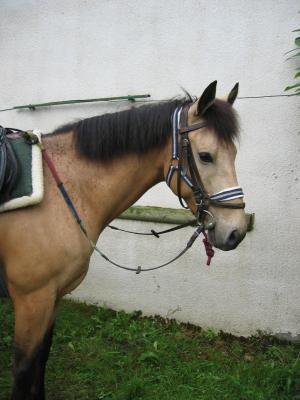 Photo de profil de victoire-soldad